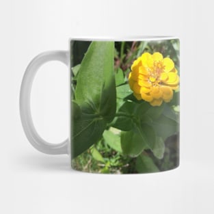 Yellow Zinnia Mug